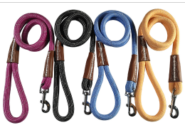 long dog leash